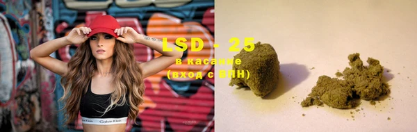 сатива Новодвинск