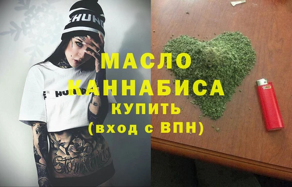 сатива Новодвинск